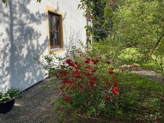 Ferienwohnungen Hanke Barbara Piding Extérieur photo